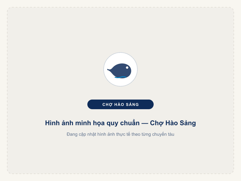 Mực Khô 10c/kg